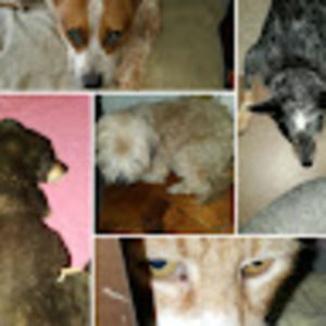 Meet your Posher, Barbara